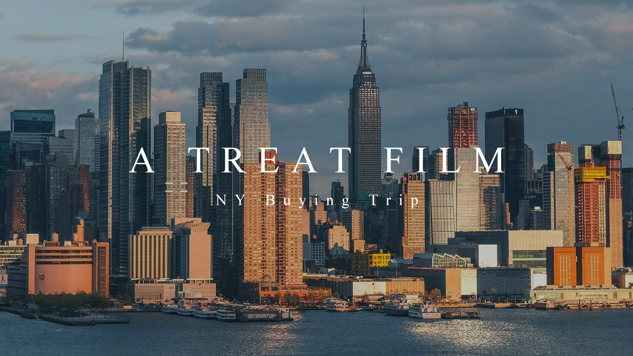Buying Trip in NY 2025
