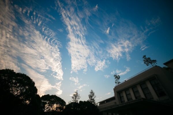 Party Report～ナイトウェディング～