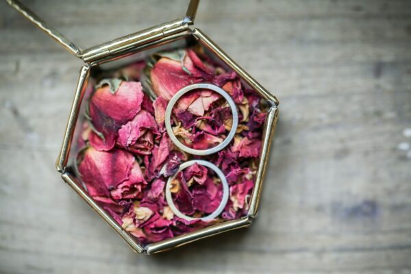 【期間限定】SPECIAL FAIRのお知らせ