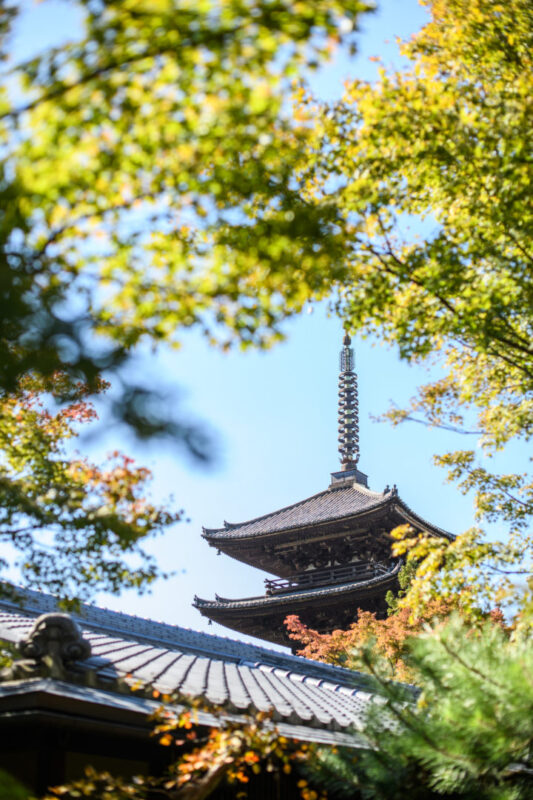 Party Report～THE SODOH HIGASHIYAMA KYOTO～