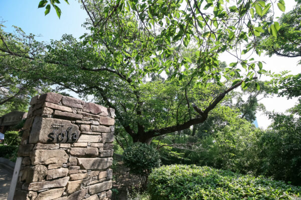 Party Report ~Romantic moment~