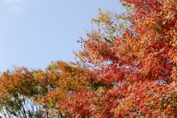 Party Report~Cheers! お二人からゲストへの想い~