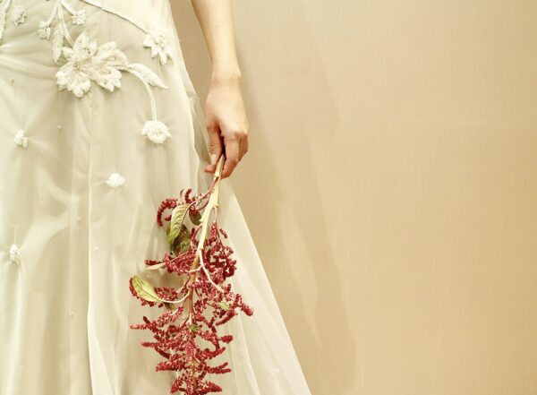 新作カラードレスのご紹介 ～Alexandra Grecco（アレクサンドラ・グレッコ）～