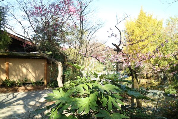 ウェディングドレスのご紹介 ～CAROLINA HERRERA（キャロリーナ・ヘレラ）～at THE SODOH HIGASHIYAMA KYOTO(ザ ソウドウ ヒガシヤマ キョウト）