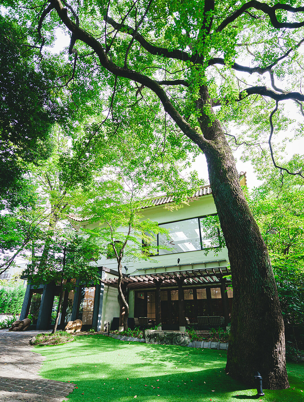 大きな木々に囲まれた緑豊かな庭の奥に、ガラス窓と和の屋根が印象的な邸宅が佇む、自然光あふれるザナンザンハウス