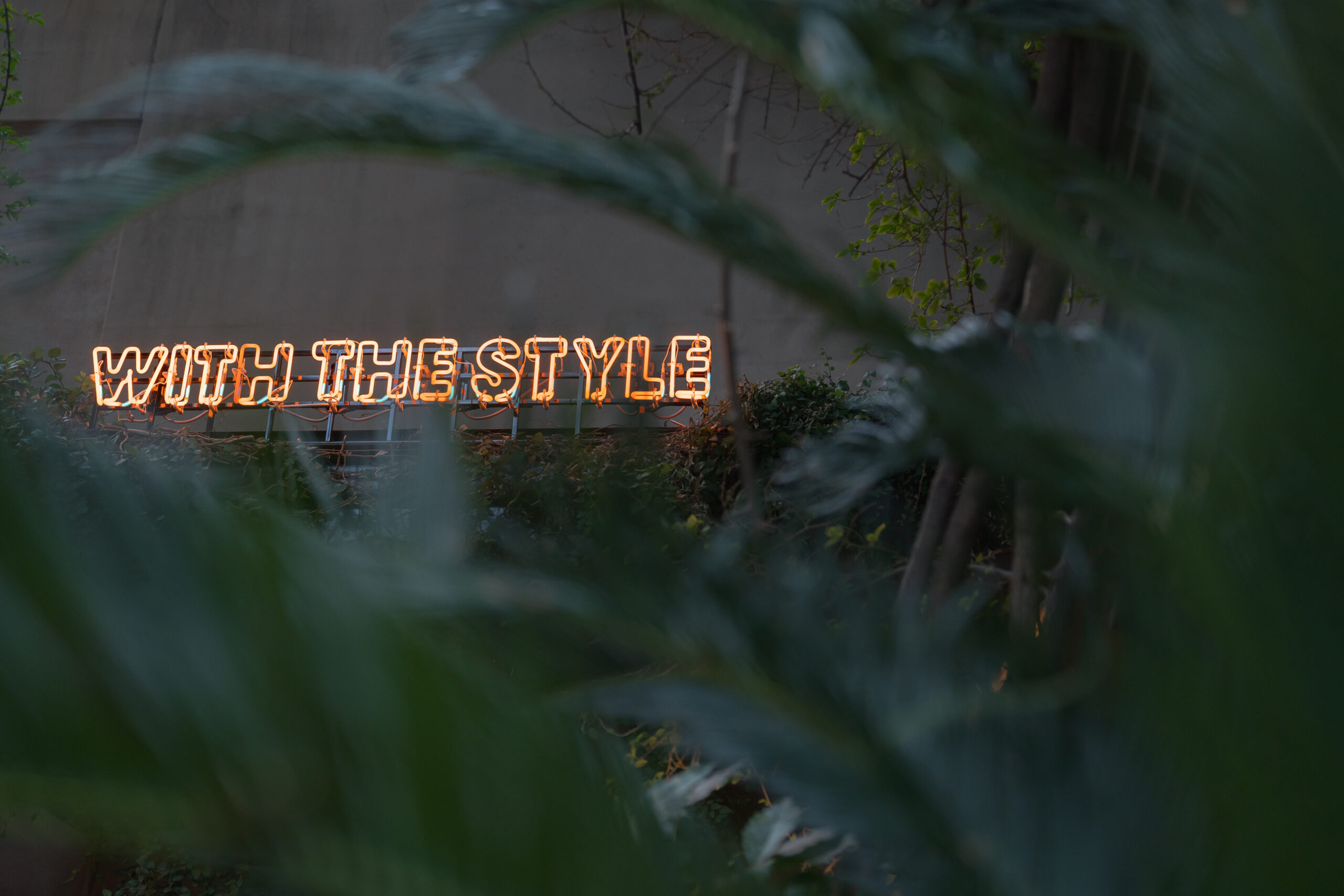 やわらかな光に包まれたウィズ ザ スタイル