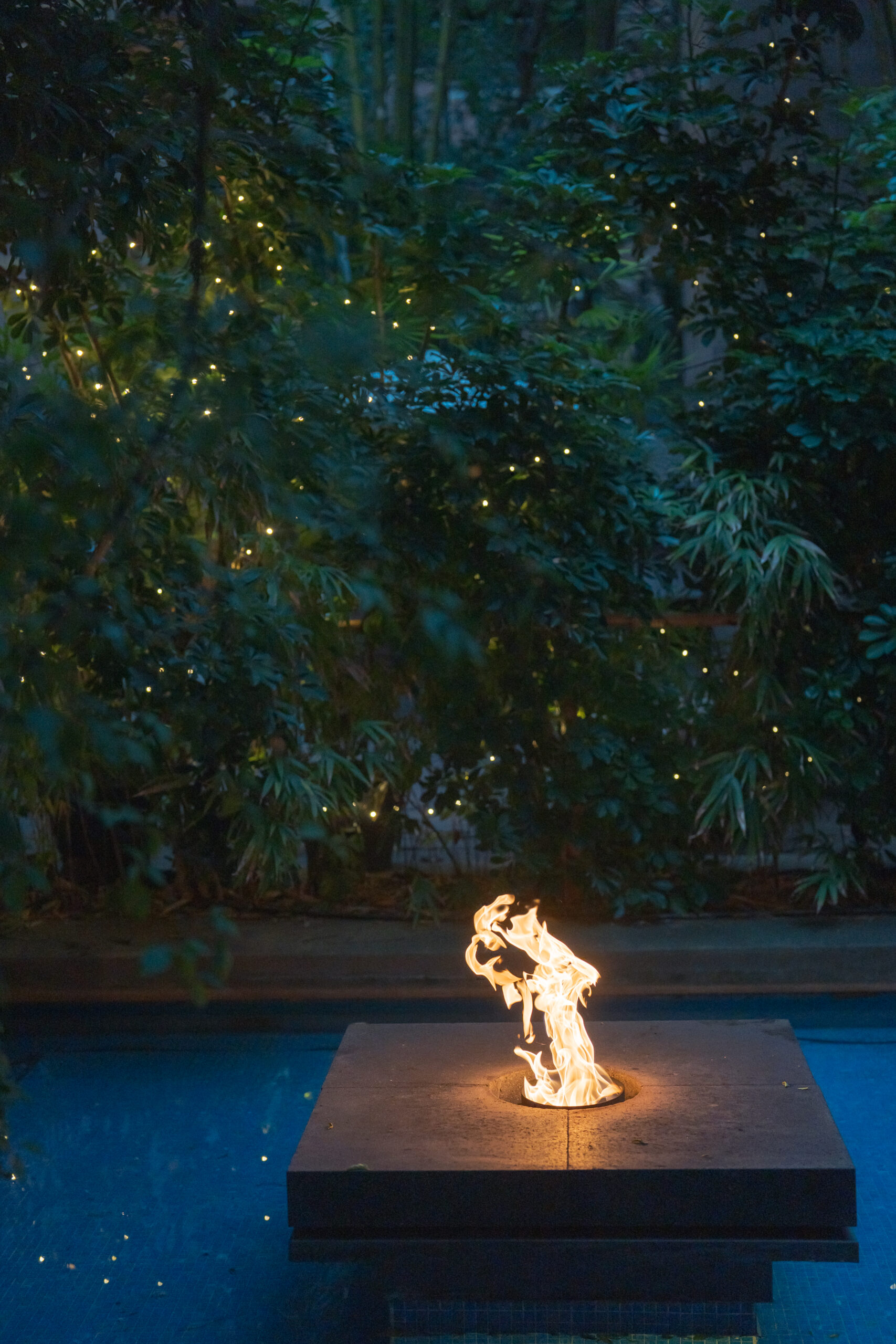 やわらかな光に包まれたウィズ ザ スタイル